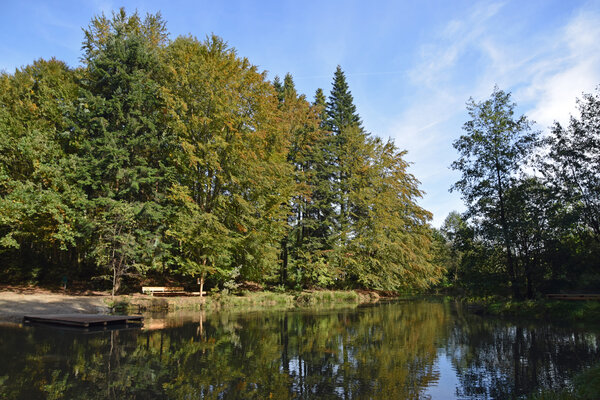 Nymphenweiher Niedergams