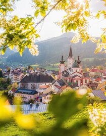 Basilika im Frühling | © TV Hochsteiermark | Fred Lindmoser | © TV Hochsteiermark