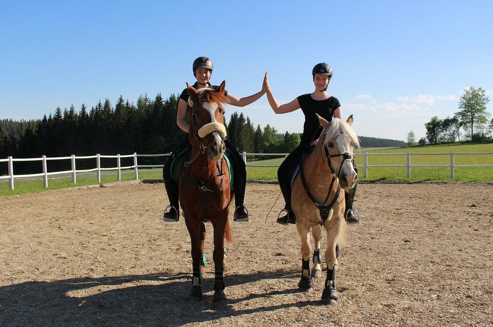 horse farm the Leitner - Impression #1 | © Narnhoferwirt