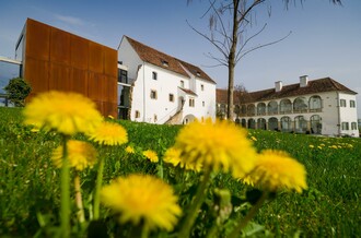 Schloss Hartberg_Blumen_Oststeiermark | © Tourismusverband Oststeiermark