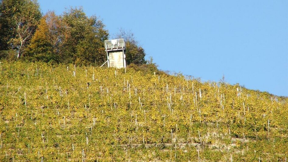 Warte mit Blick aus dem Weingarten | © Silberbergwarte