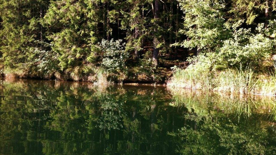 Hirzmann Stausee_sonniges Ufer | © TV Lipizzanerheimat | CH